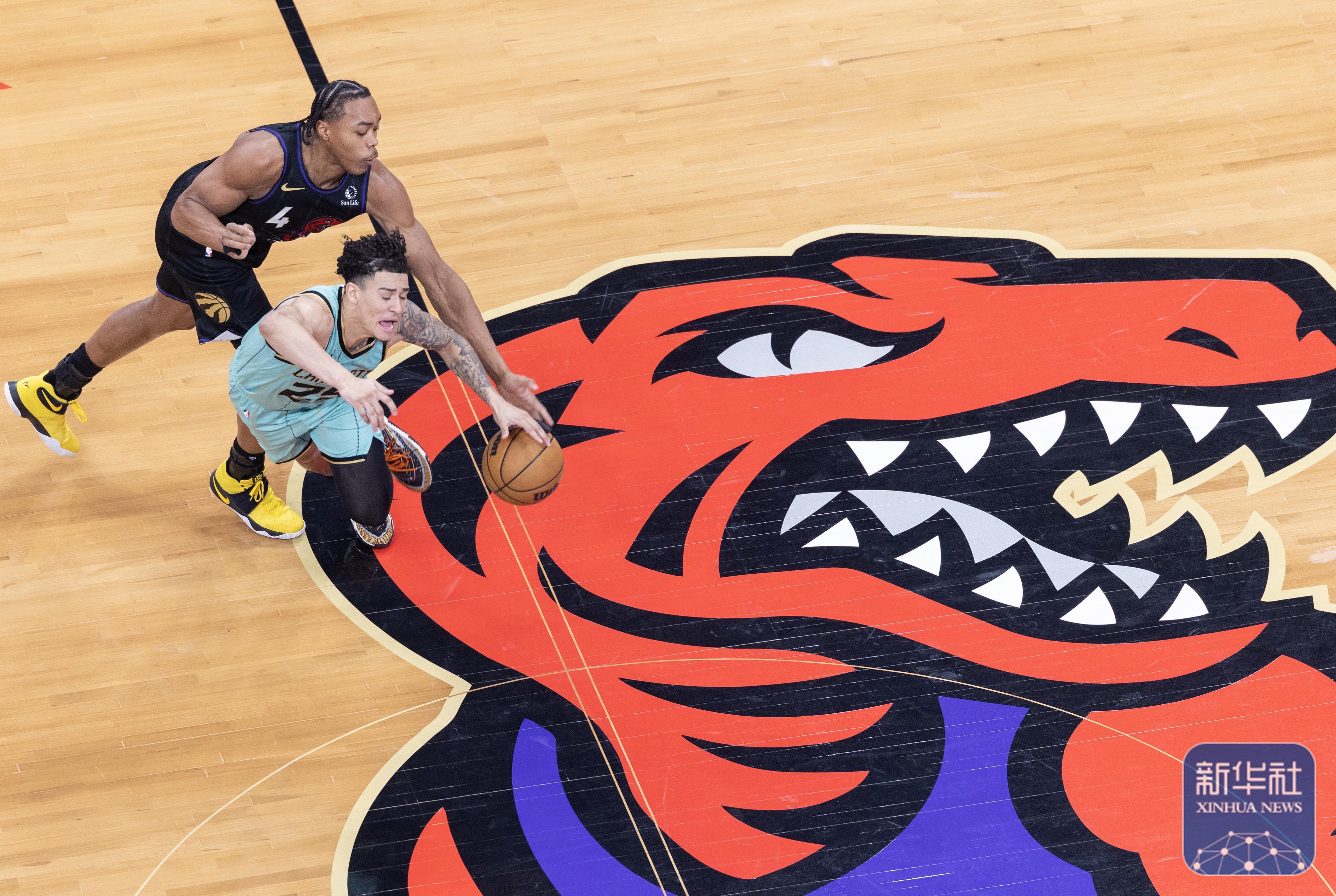 NBA常规赛收官战，猛龙力克公牛取胜