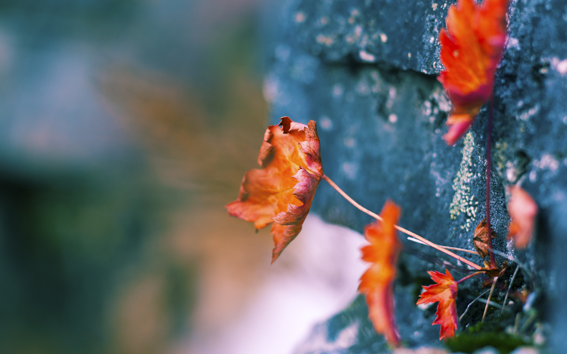 西亚卡姆关键先生发力,老鹰横扫掘金晋级季后赛次轮