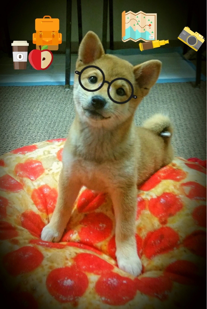 沉睡的巨人觉醒,总决赛之夜,坎特的完美救赎