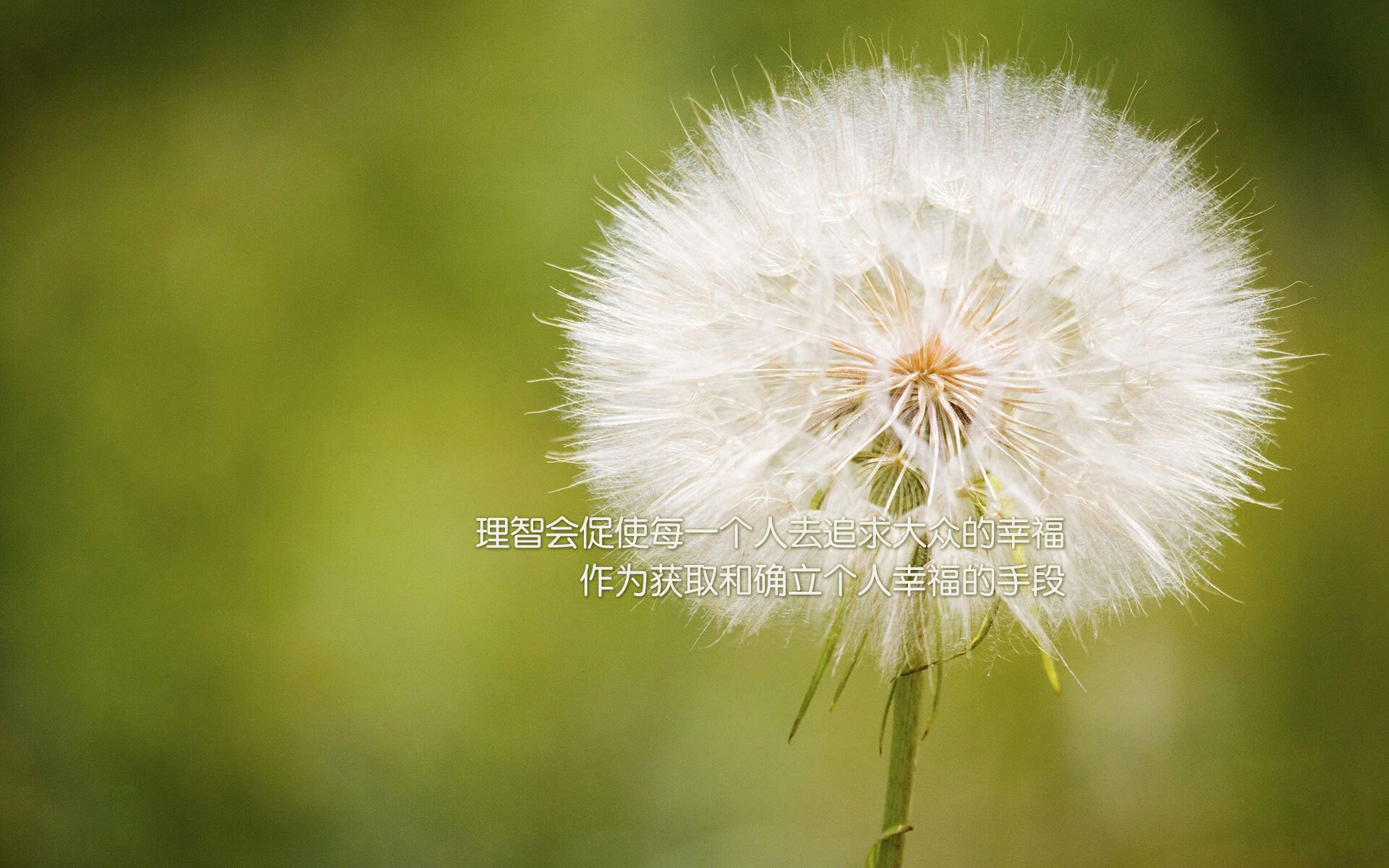 浓眉制霸内线,猛龙横扫新疆创历史纪录